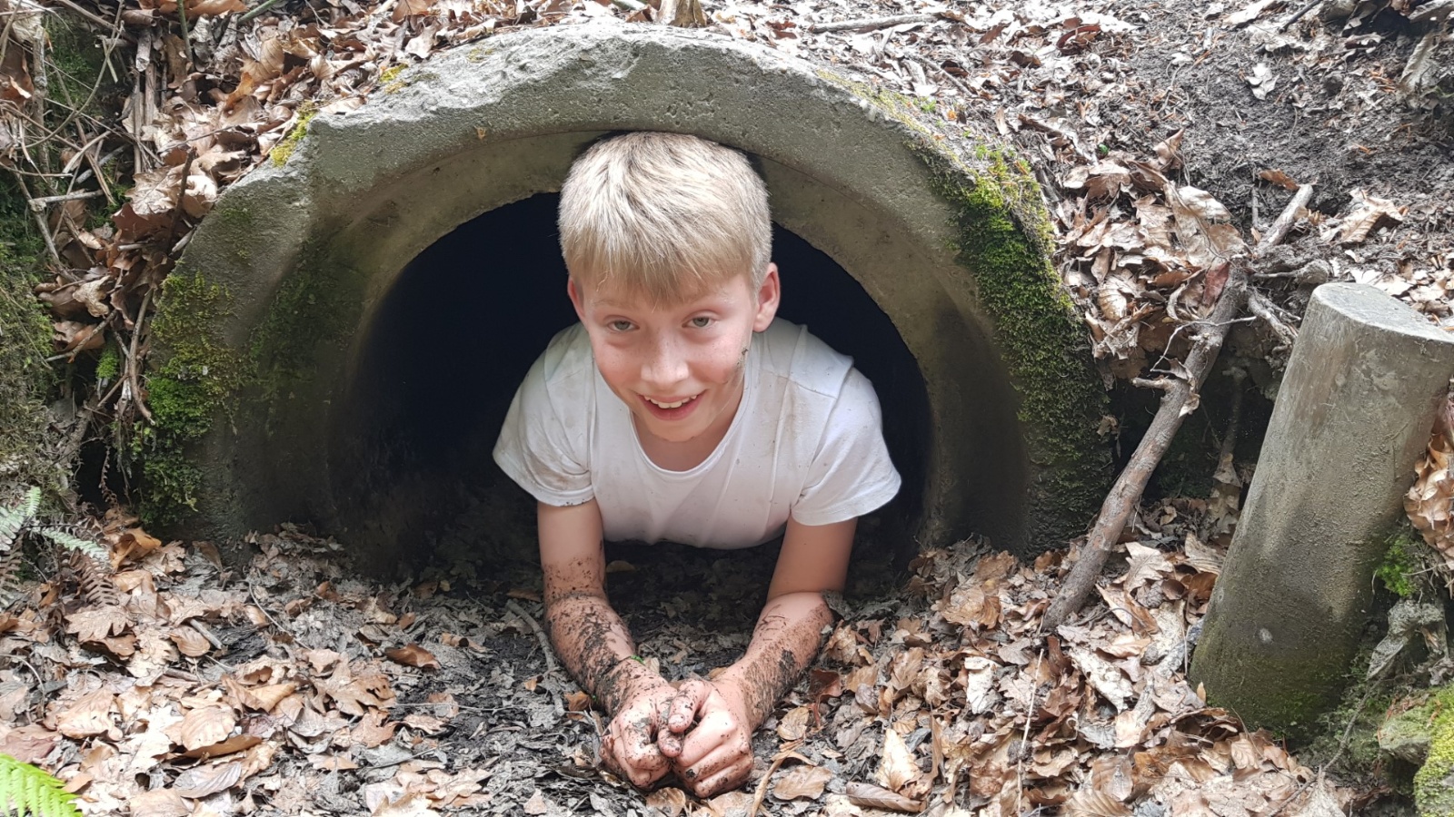 20190530 160905 (Large)